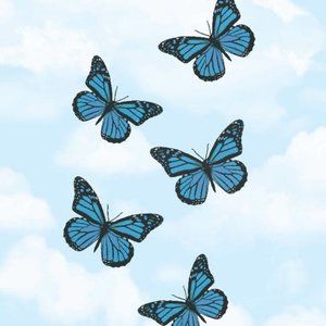 Meet your Posher, Alistri